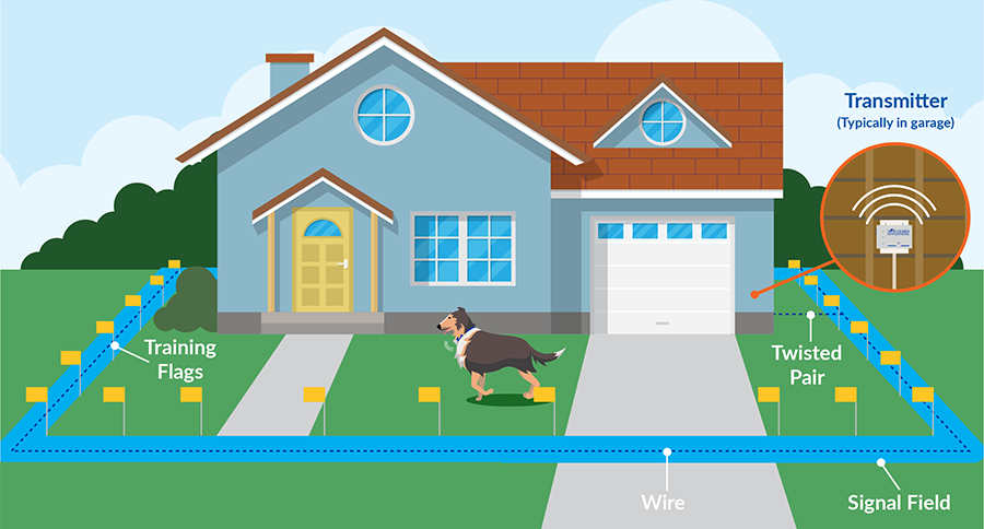 Underground dog fence top